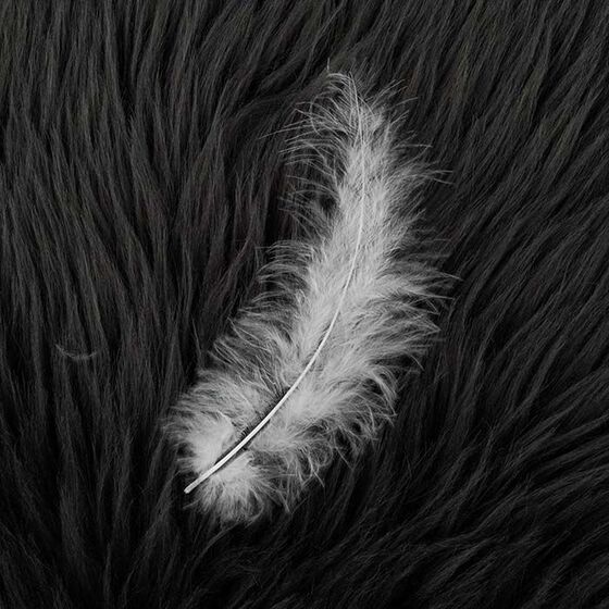 FEATHER PACK OF 5