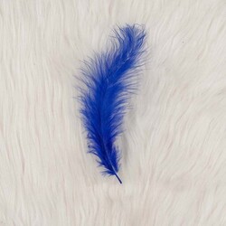 FEATHER PACK OF 5 - Thumbnail